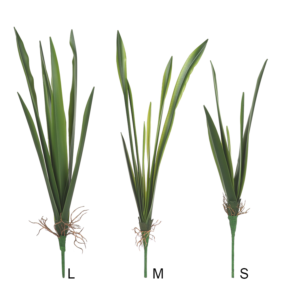 Snake Plant - Suministros de fiesta de alto grado,