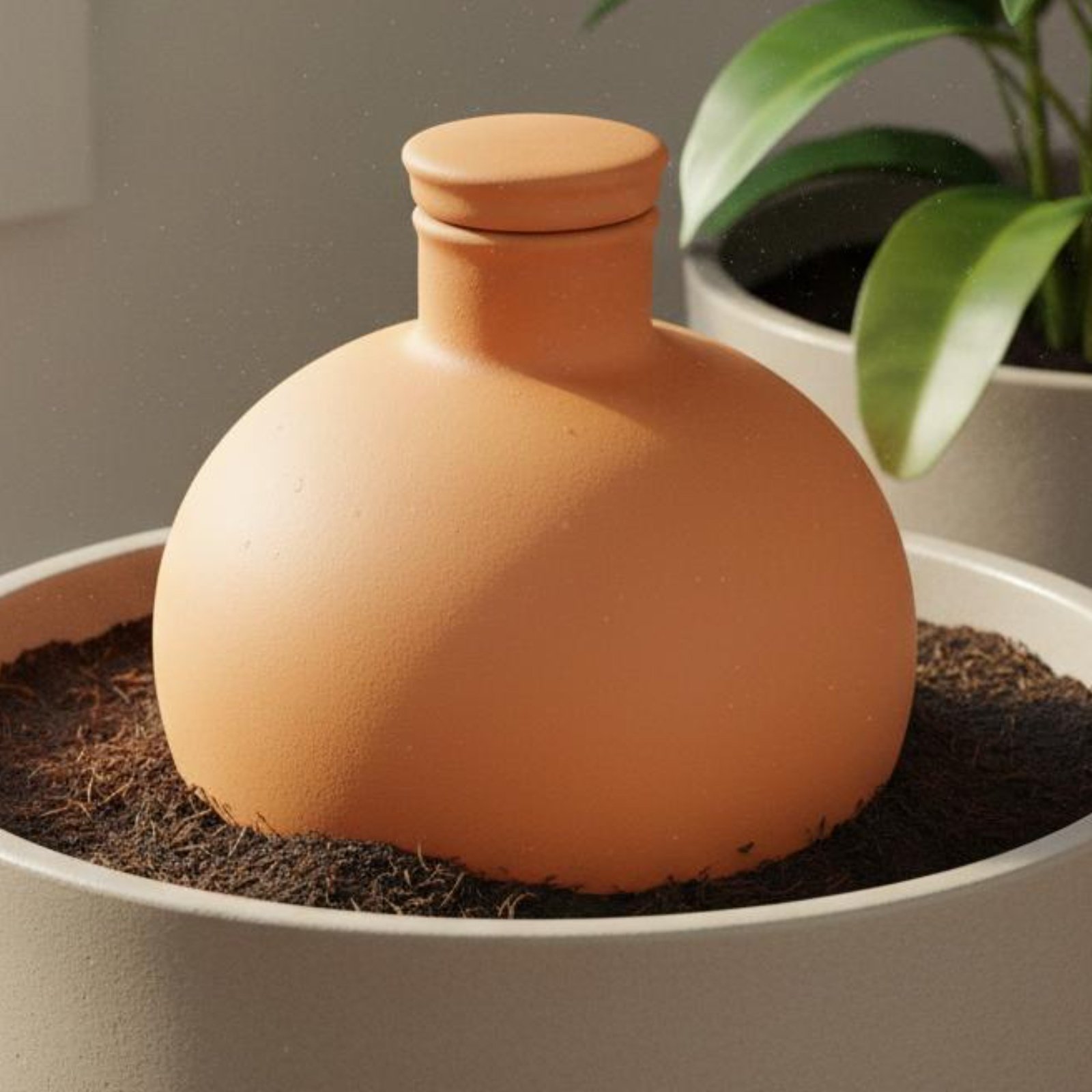 Terracotta Pot - 2 Piezas de Olla de Terracota