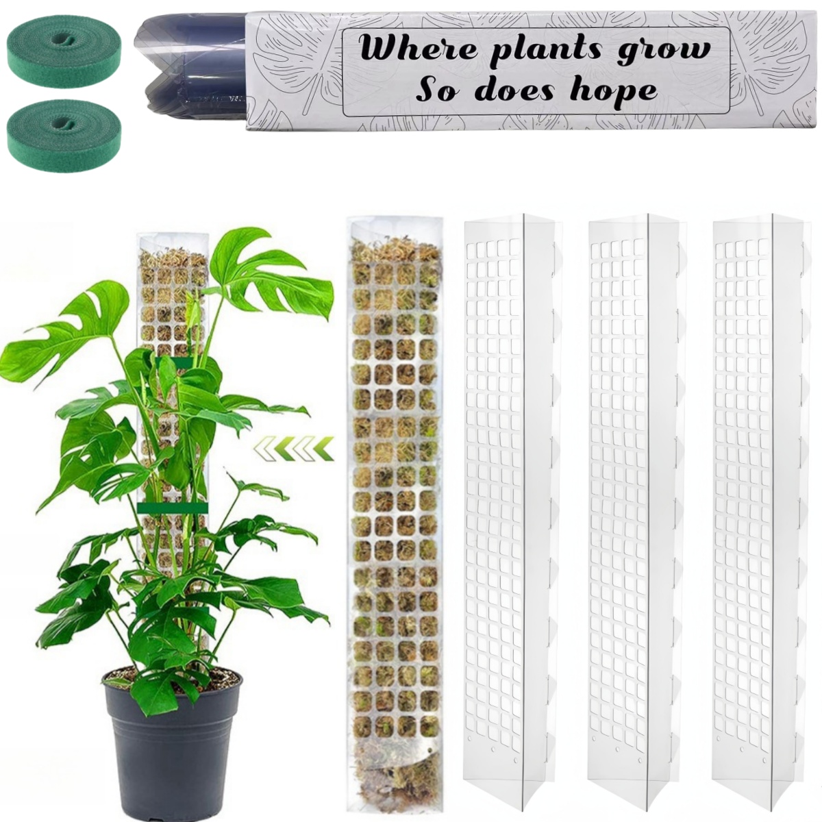 Plant Support Stake - Poste de musgo, soporte de plástico