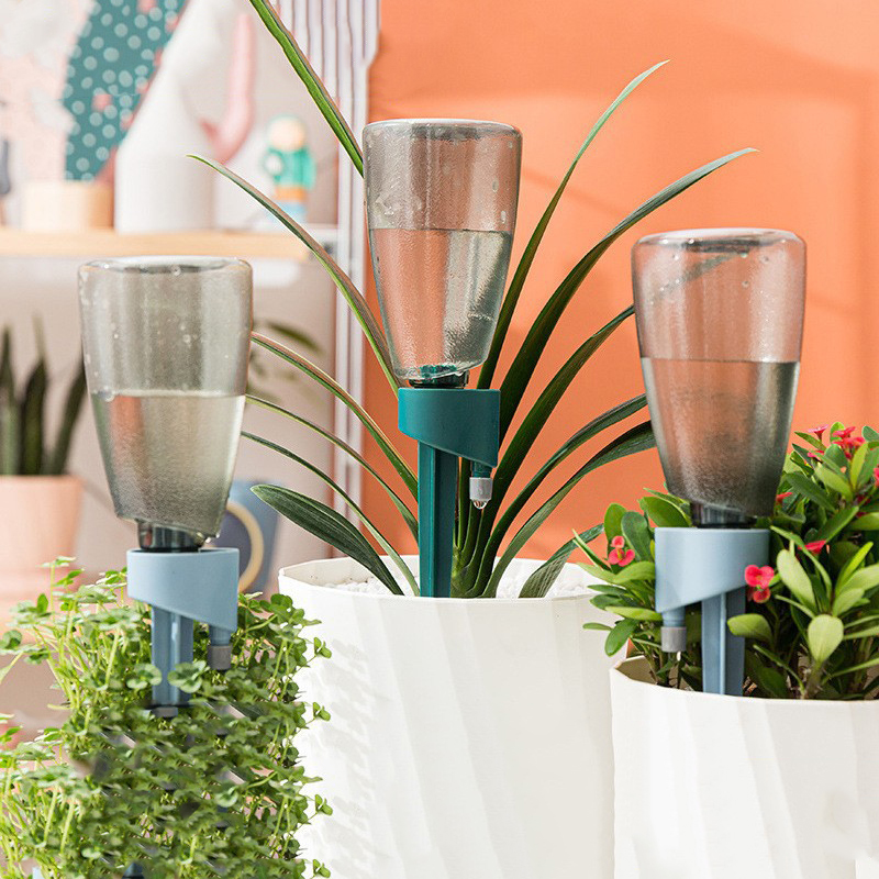 Succulent Set - Nuevo Dispositivo automático de riego de