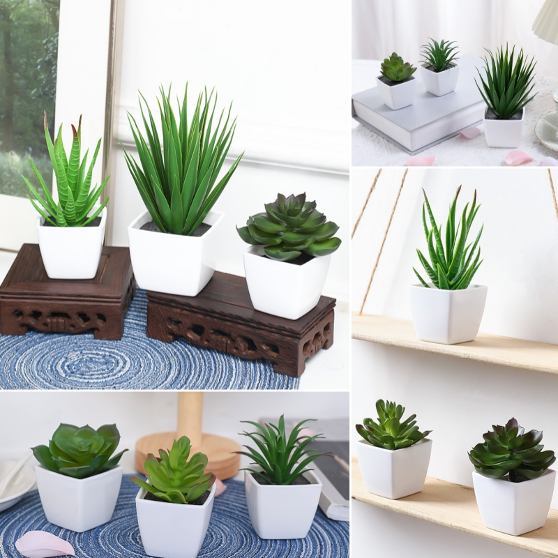Succulent Set - (Un juego de 3 piezas) Mini