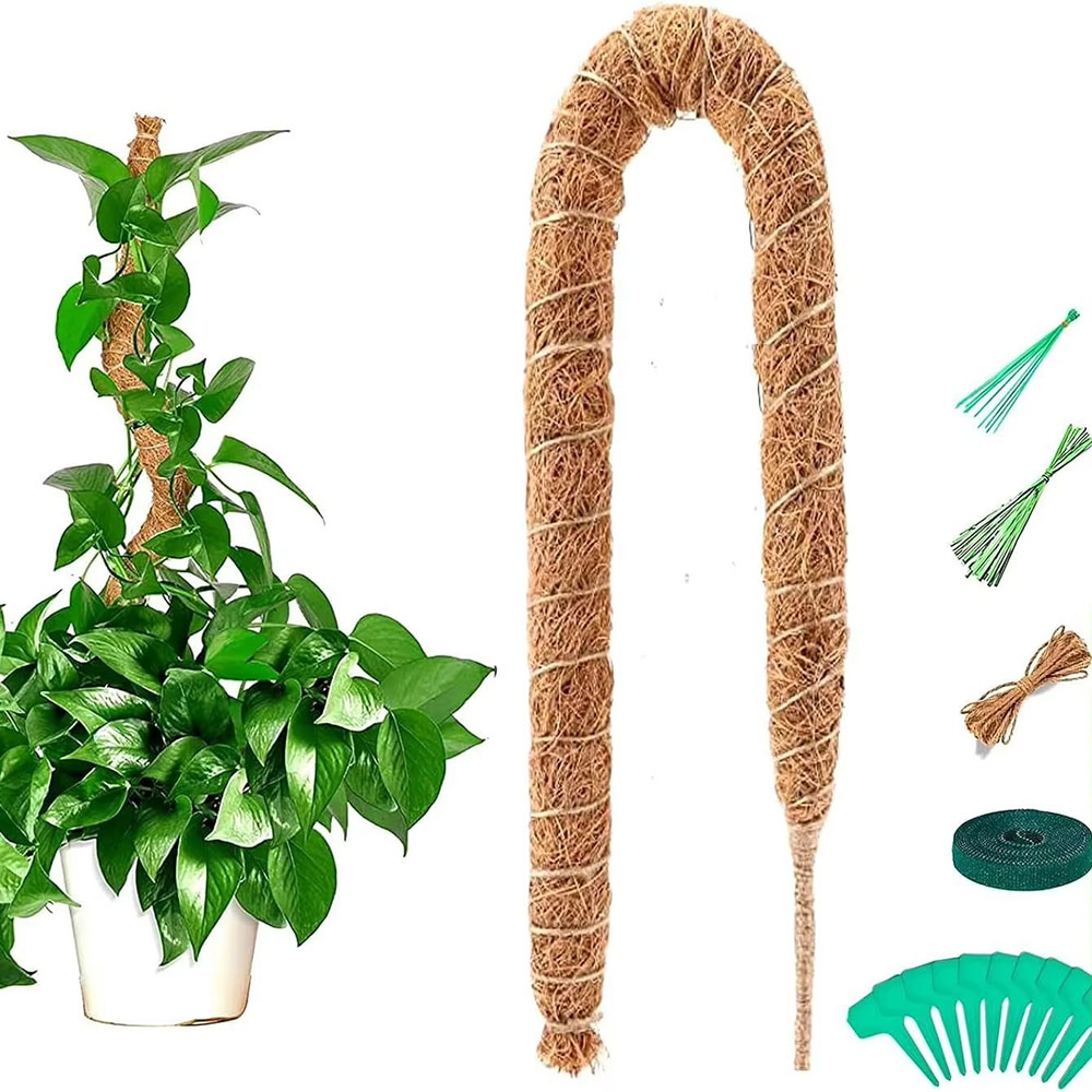 Pothos - Varilla de Soporte para Plantas Trepadoras,