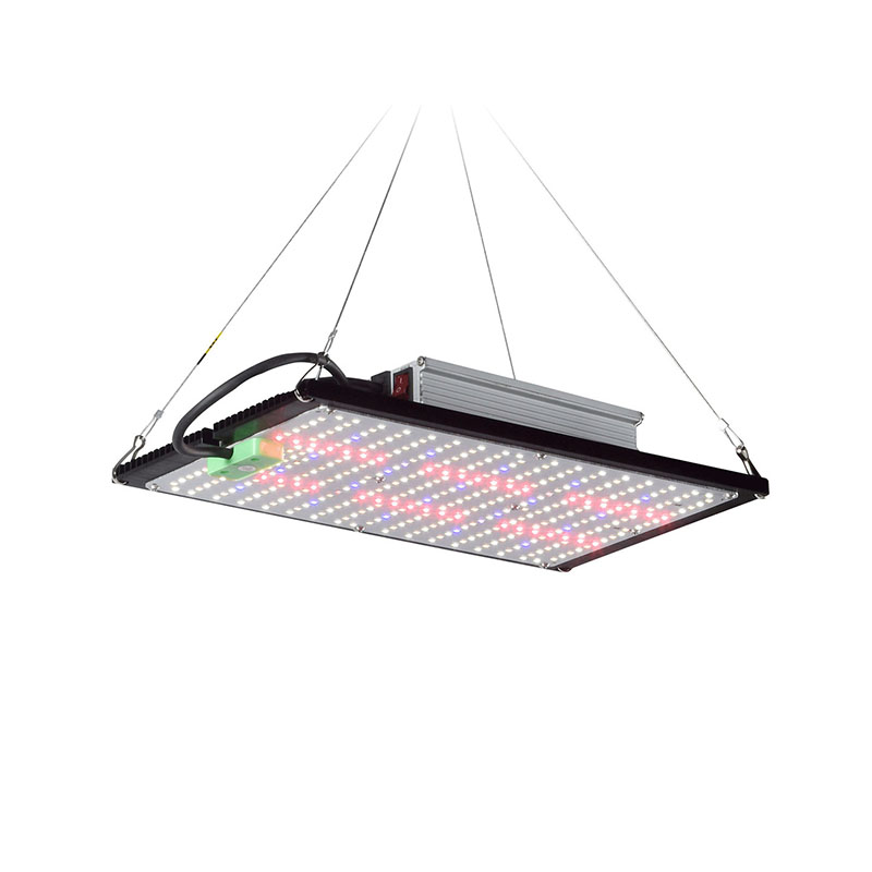 Lámpara de Cultivo LED Quantum - Indoor Plants reseña y precio