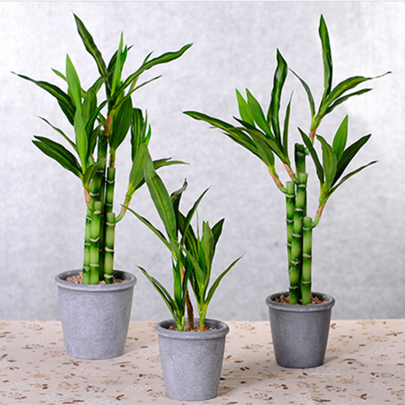 Nueva Planta Artificial de Bam - Snake Plant reseña y precio