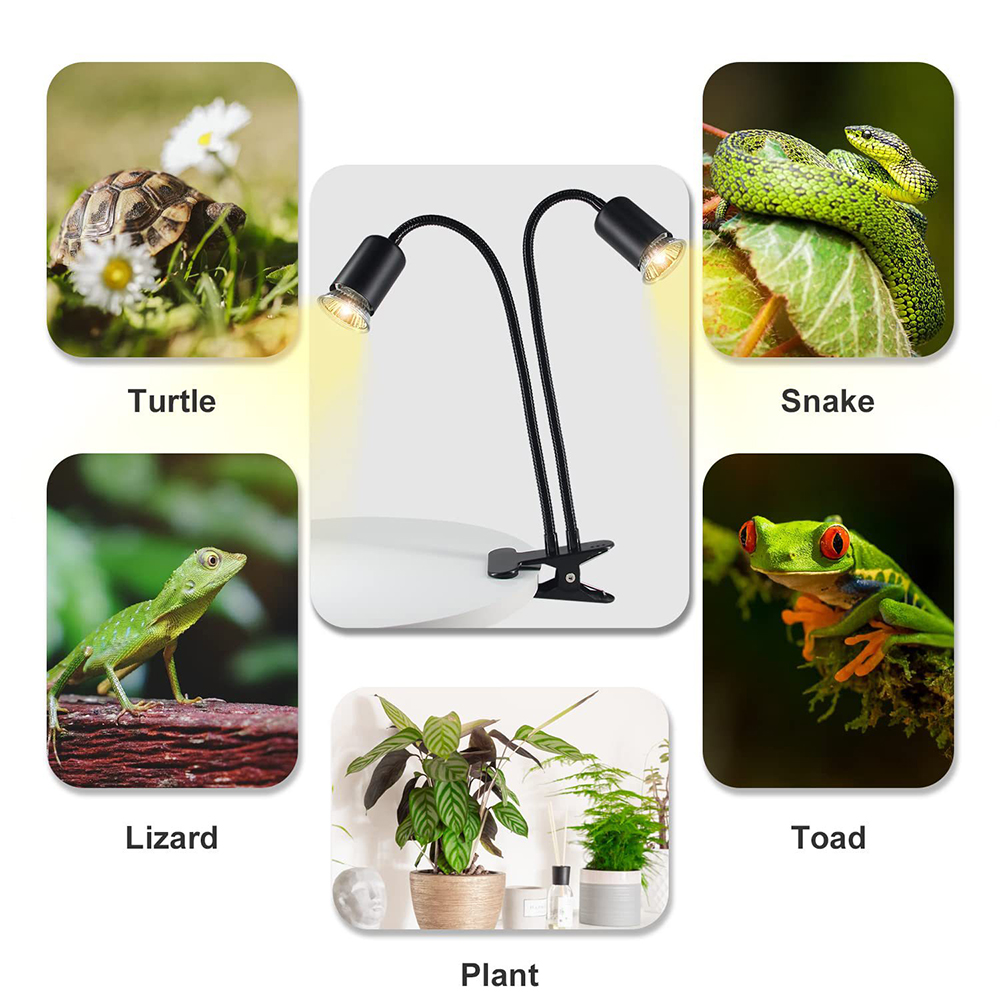 Lámpara de calor giratoria par - Snake Plant reseña y precio