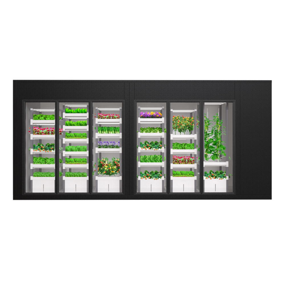 Sistema de Cultivo Hidropónico - Indoor Plants reseña y precio