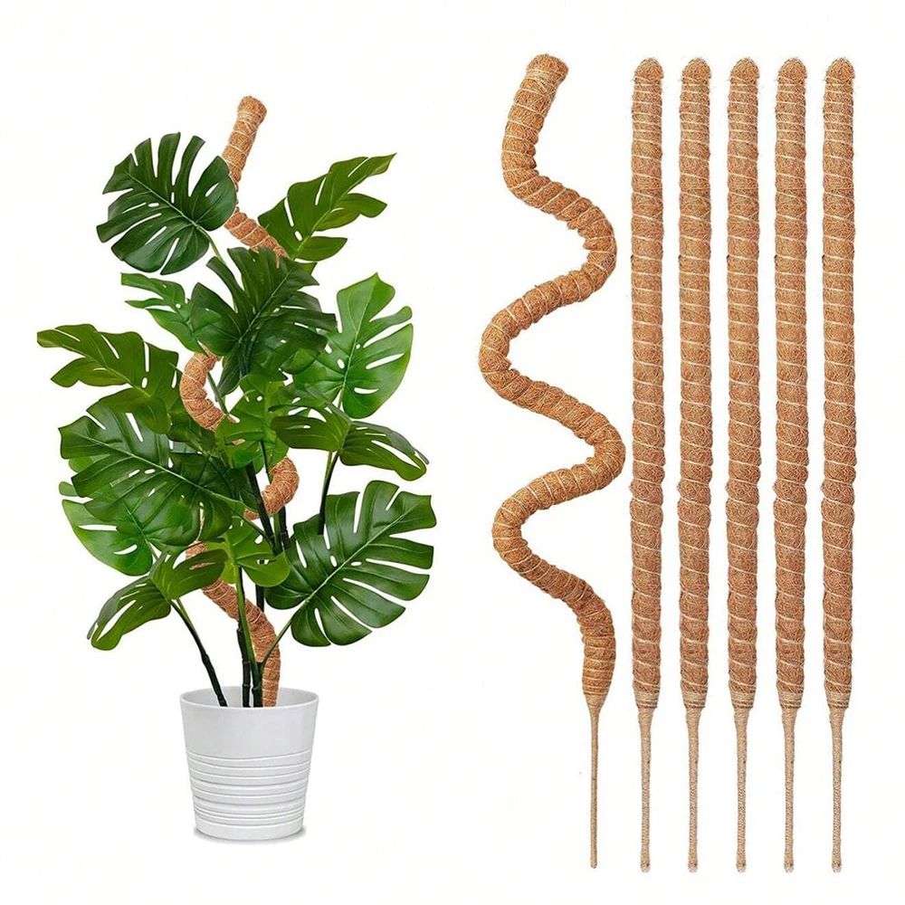 Soportes de moho para plantas  - Plant Support Stake reseña y precio