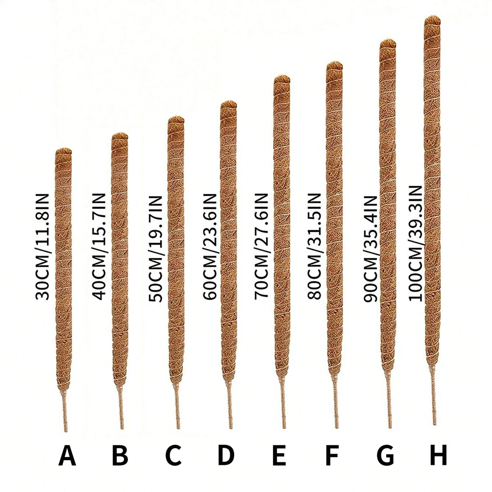Soportes de moho para plantas  - Plant Support Stake reseña y precio