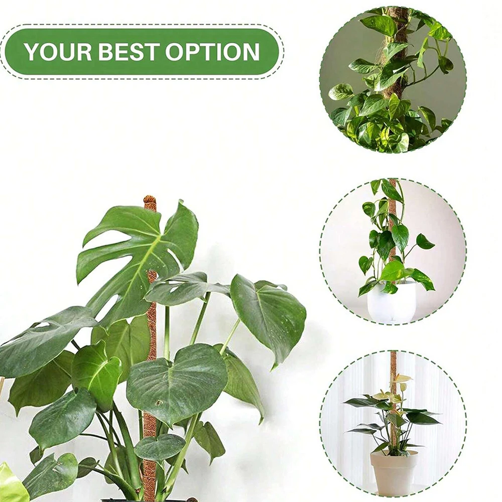 Soportes de moho para plantas  - Plant Support Stake reseña y precio