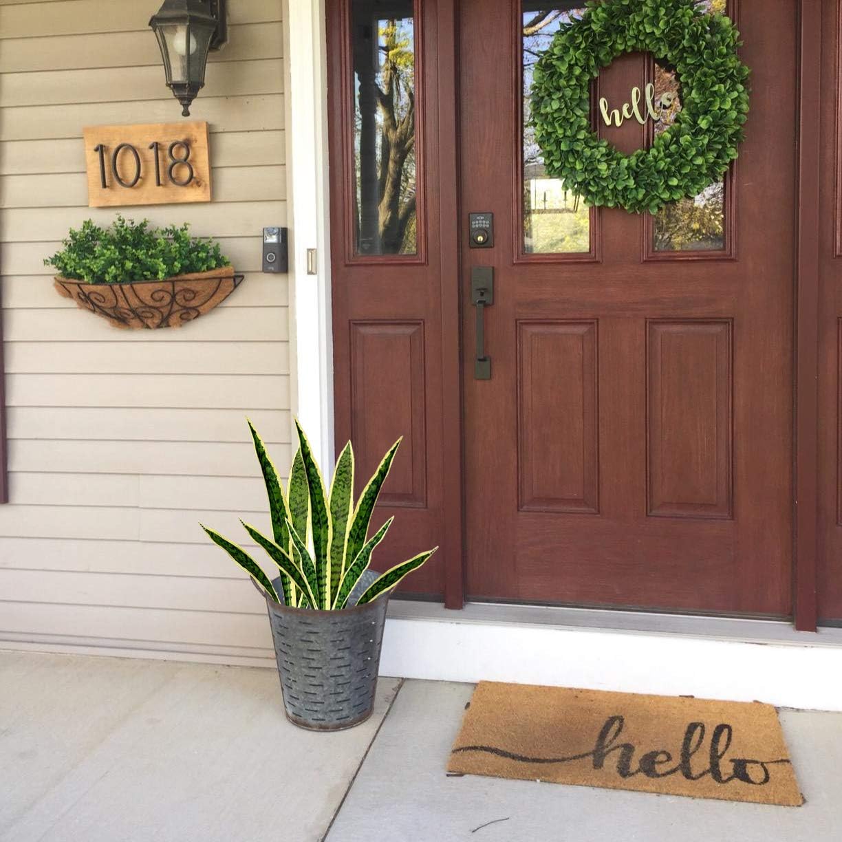 4 Uds. De plantas artificiales - Snake Plant reseña y precio