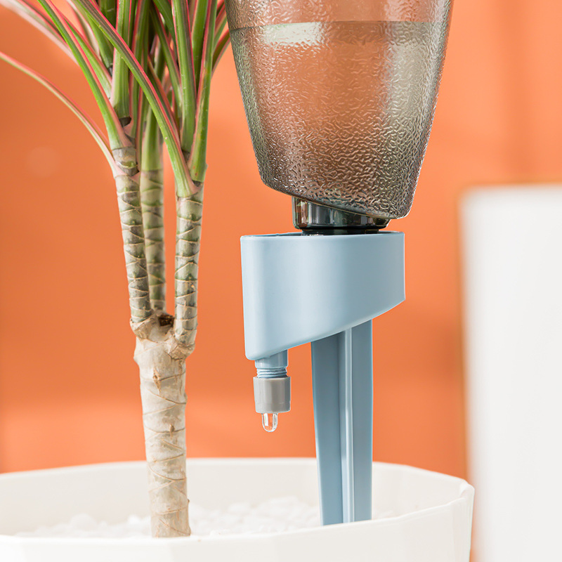 Nuevo Dispositivo automático d - Succulent Set reseña y precio