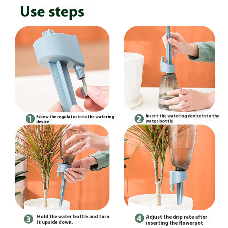 Nuevo Dispositivo automático d - Succulent Set reseña y precio