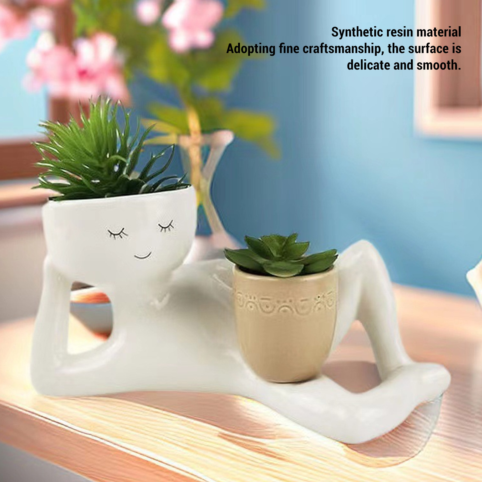 Maceta suculenta creativa, mac - Succulent Set reseña y precio