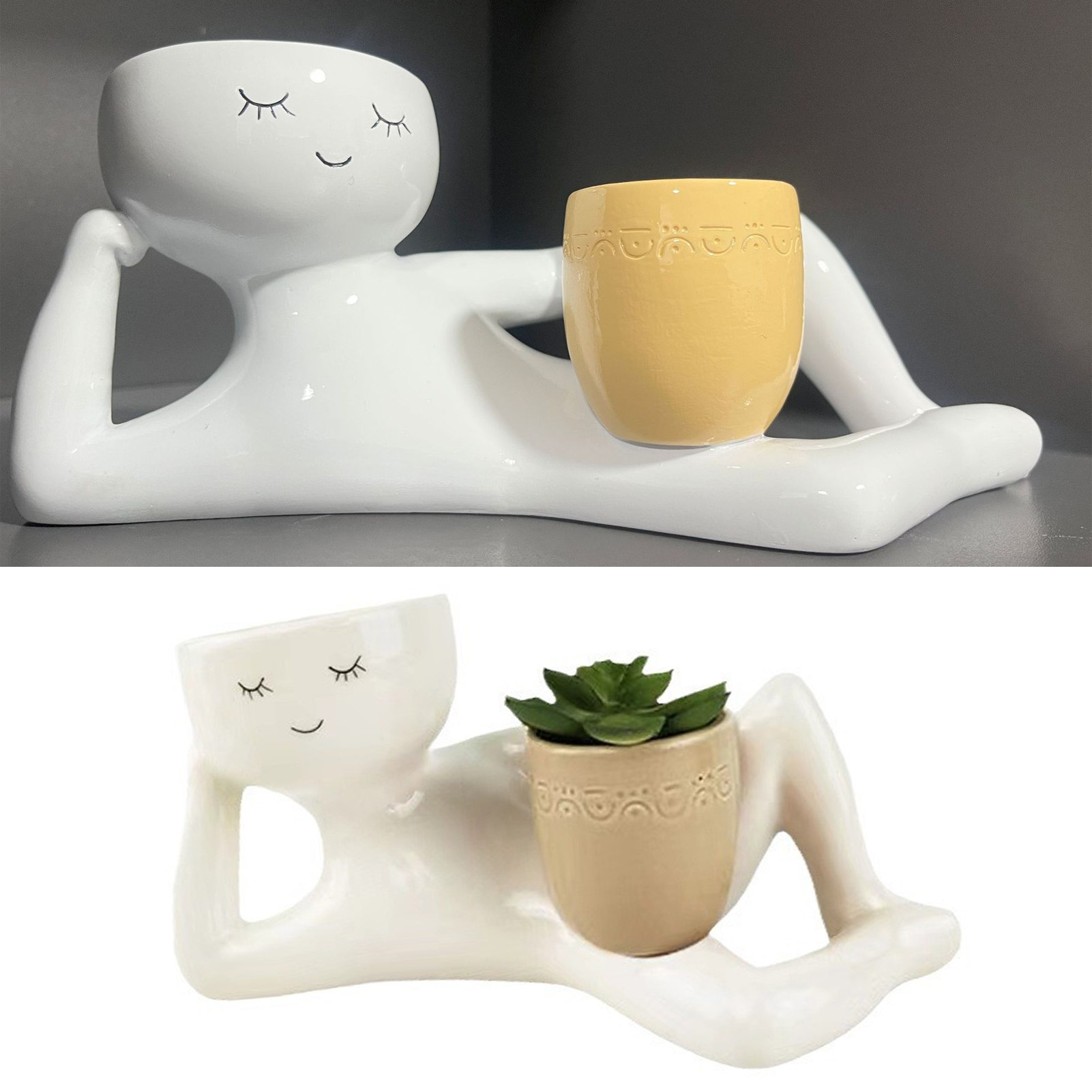 Maceta suculenta creativa, mac - Succulent Set reseña y precio