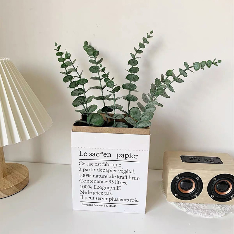 20 piezas tallos de eucalipto  - Fiddle Leaf Fig reseña y precio