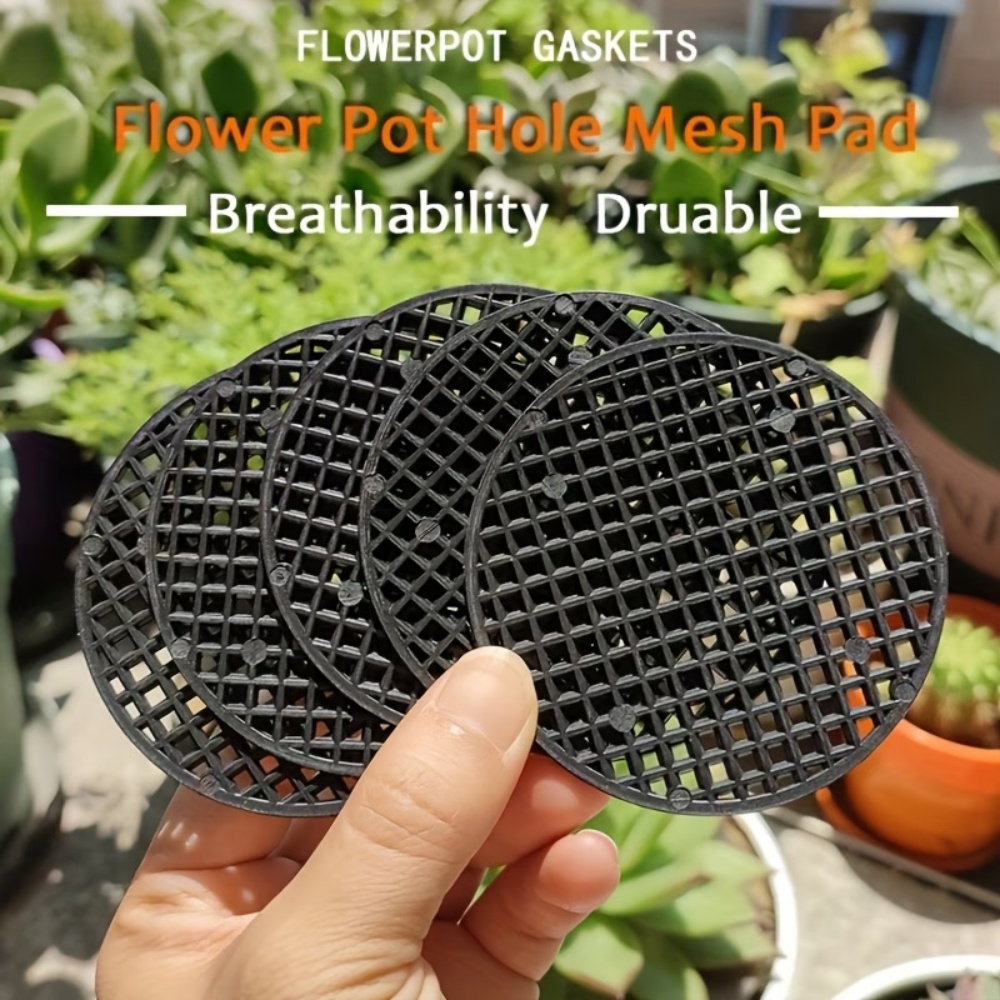 36 tapetes redondos para macet - Pothos reseña y precio