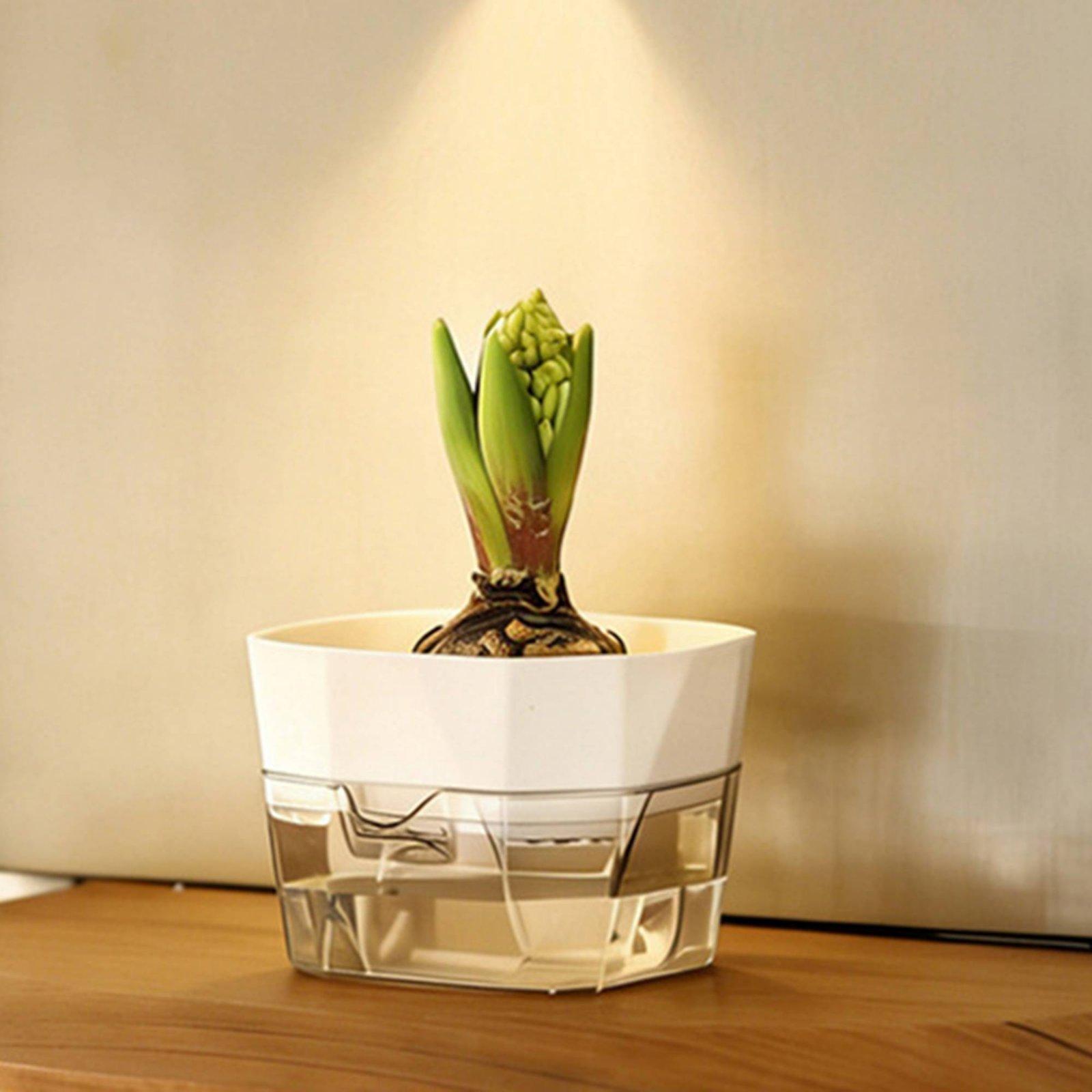 Jarrón Hidropónico de Dos Capa - Indoor Plants reseña y precio