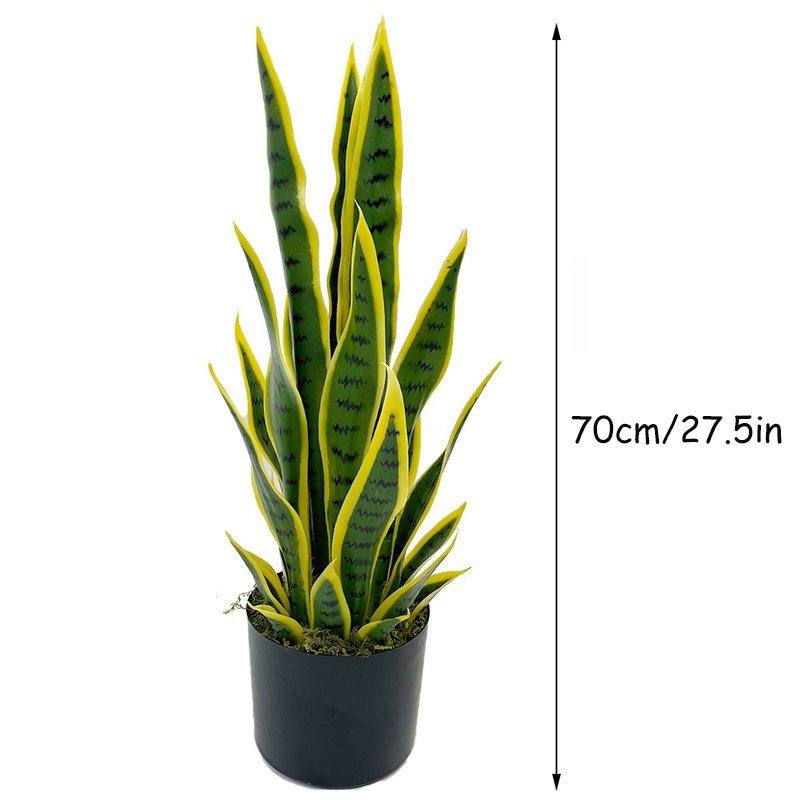Planta de Sansevieria Artifici - Snake Plant reseña y precio