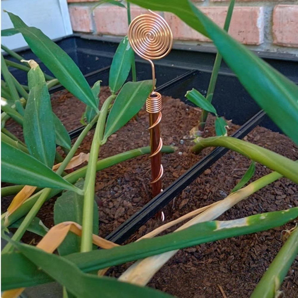 Estacas Espirales para Plantas - Plant Support Stake reseña y precio