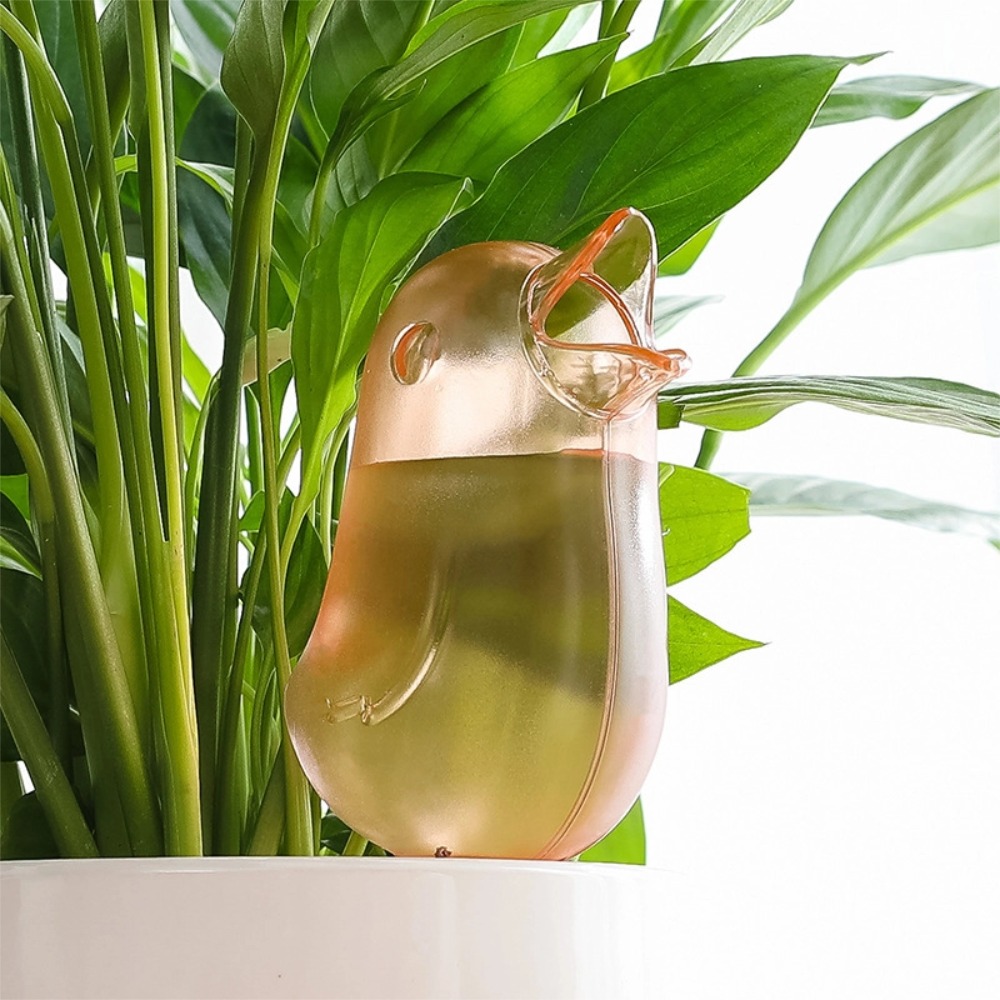 Dispositivo de Riego Automátic - Pothos reseña y precio