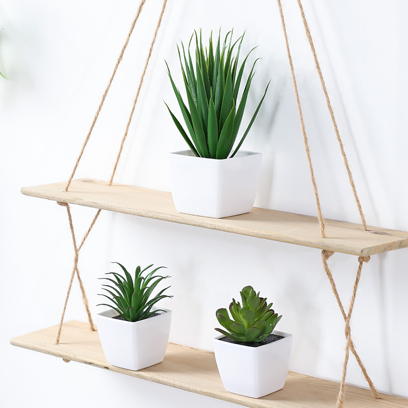 (Un juego de 3 piezas) Mini pl - Succulent Set reseña y precio