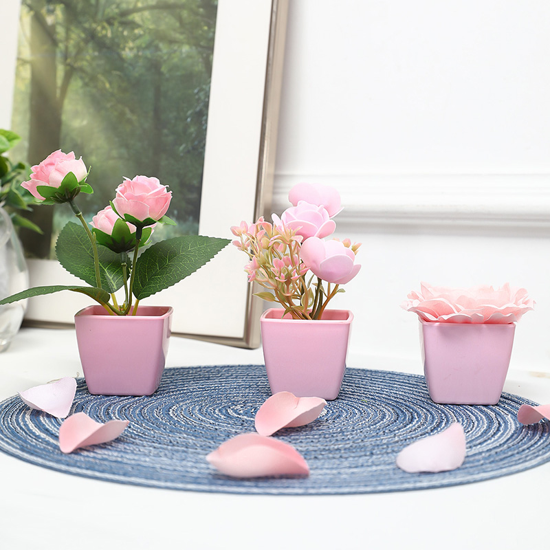 (Un juego de 3 piezas) Mini pl - Succulent Set reseña y precio