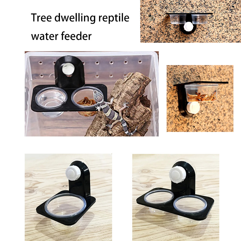 Accesorios para tanque de rept - Snake Plant reseña y precio