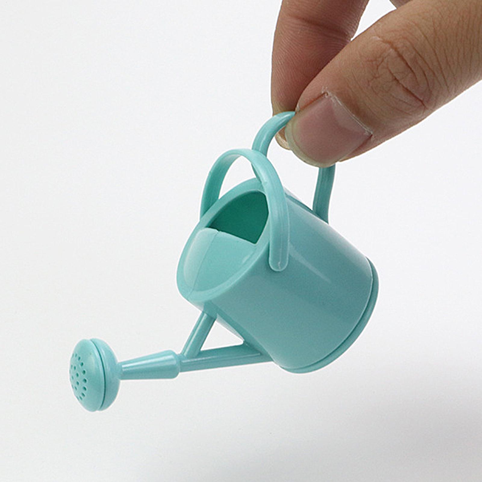 Regadera pequeña para niños, r - Succulent Set reseña y precio