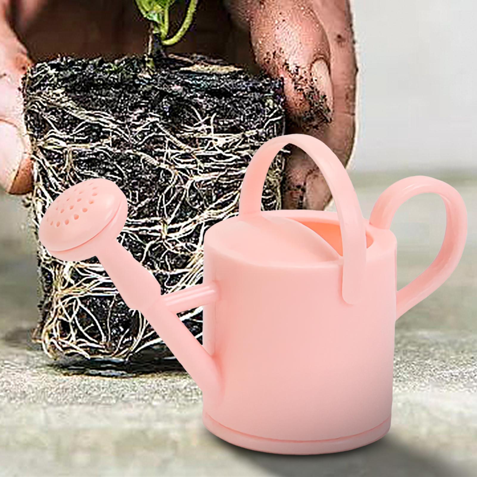 Regadera pequeña para niños, r - Succulent Set reseña y precio