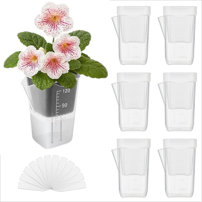 Paquete de 16/32 macetas autor - Pothos reseña y precio