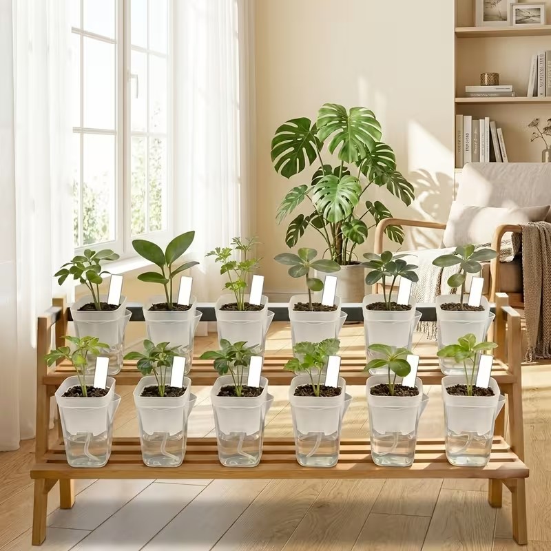 Paquete de 16/32 macetas autor - Pothos reseña y precio