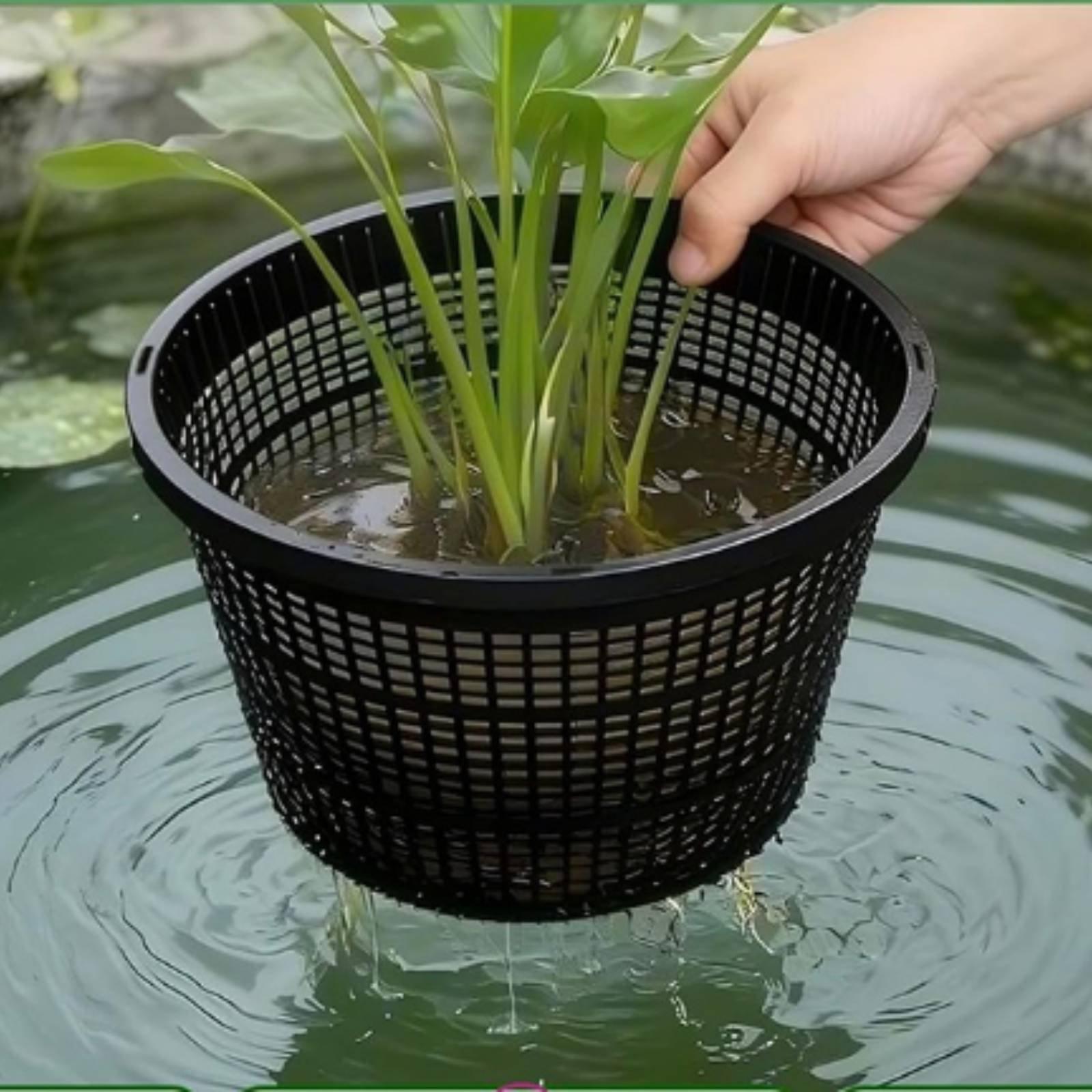 Maceta hidropónica de borde an - Plant Pot reseña y precio