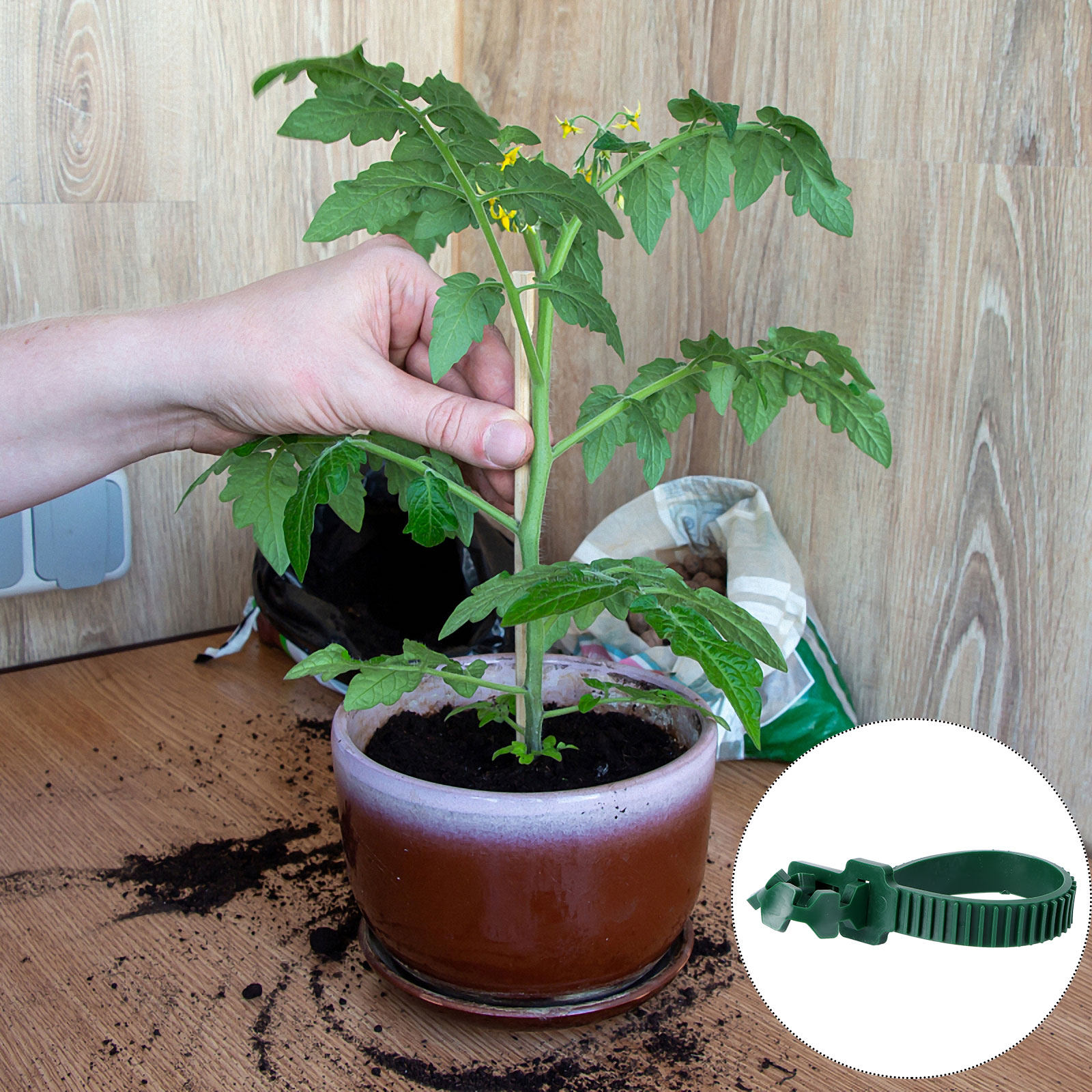 20 Piezas de Hebillas de Fijac - Plant Support Stake reseña y precio