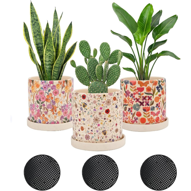 3 Macetas de Cerámica Florales - Snake Plant Ceramic reseña y precio