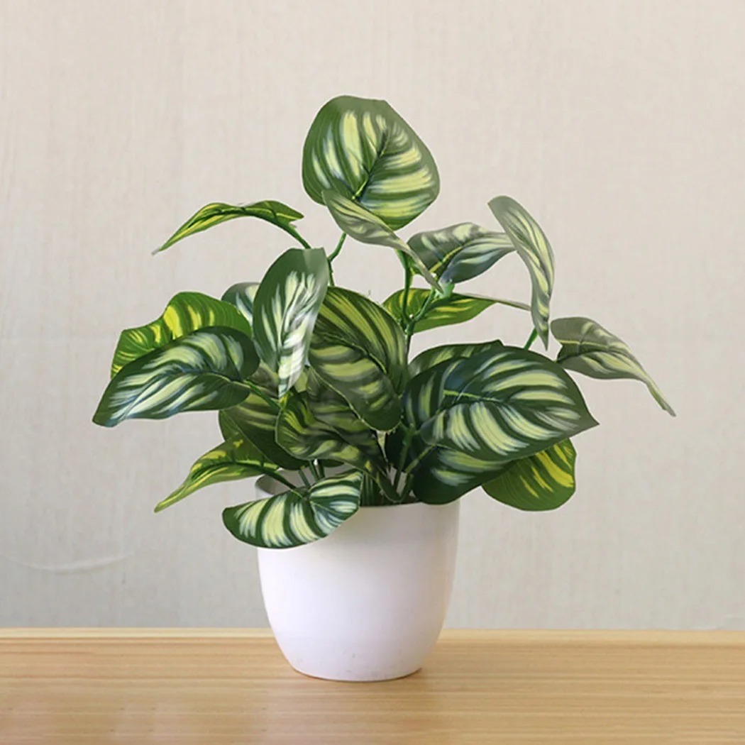 Maceta de follaje Artificial,  - Snake Plant reseña y precio