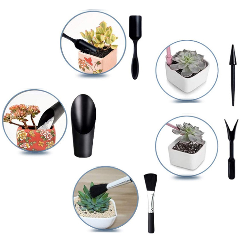 Mini juego de herramientas de  - Succulent Set reseña y precio