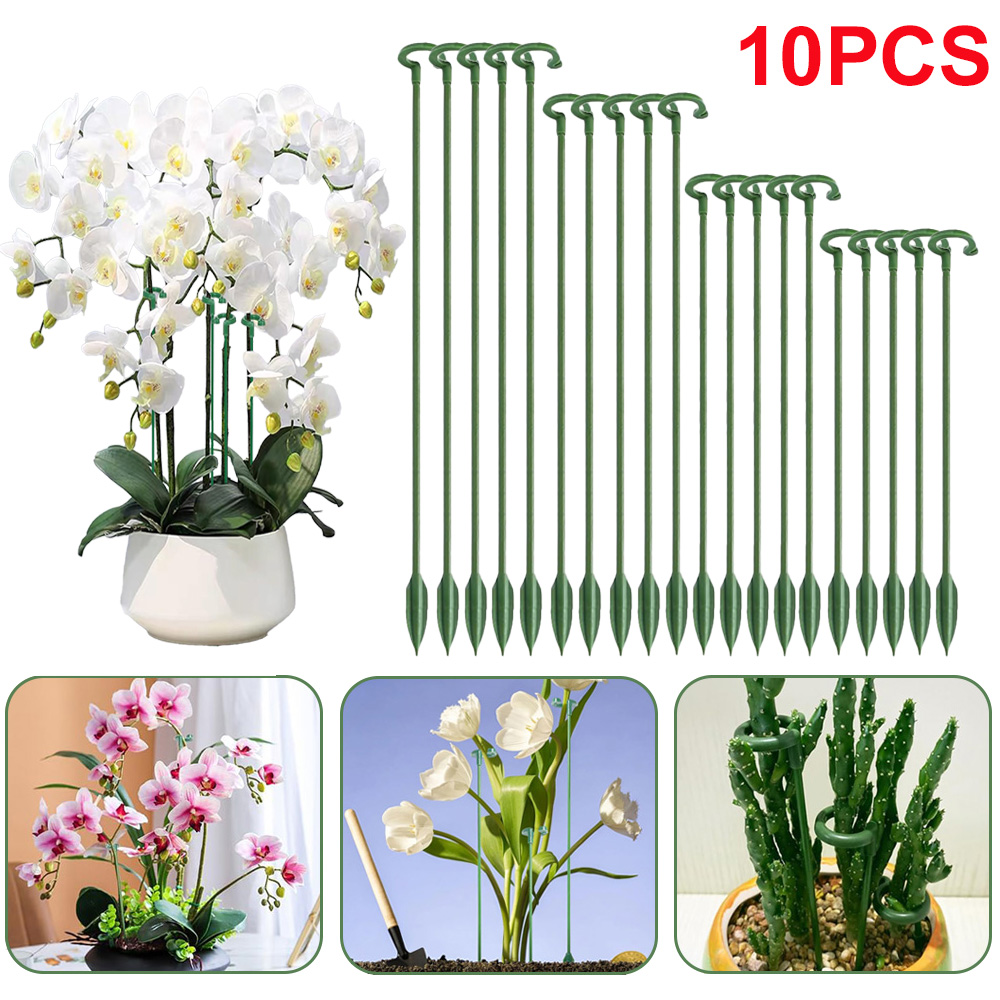 Estacas de Soporte para Planta - Succulent Set reseña y precio