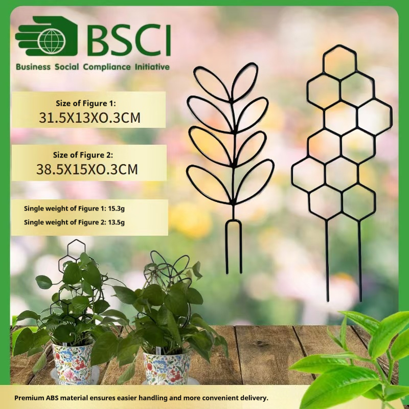 1 unidad de soporte para plant - Pothos reseña y precio