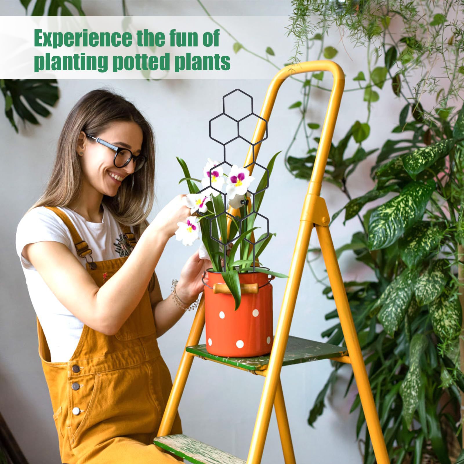 1 unidad de soporte para plant - Pothos reseña y precio
