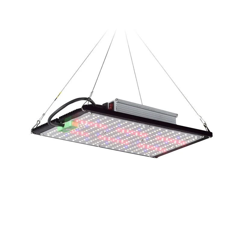 Lámpara de Cultivo LED Quantum - Indoor Plants reseña y precio