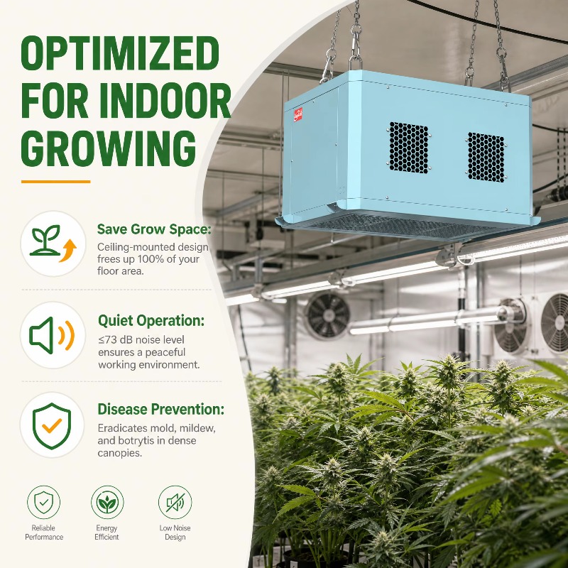 Potente deshumidificador para  - Indoor Plants reseña y precio