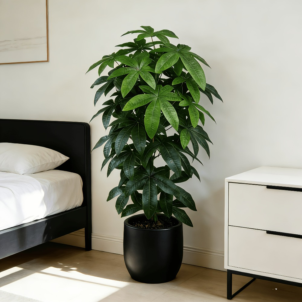 Árbol del Dinero Artificial Pa - Succulent Set reseña y precio