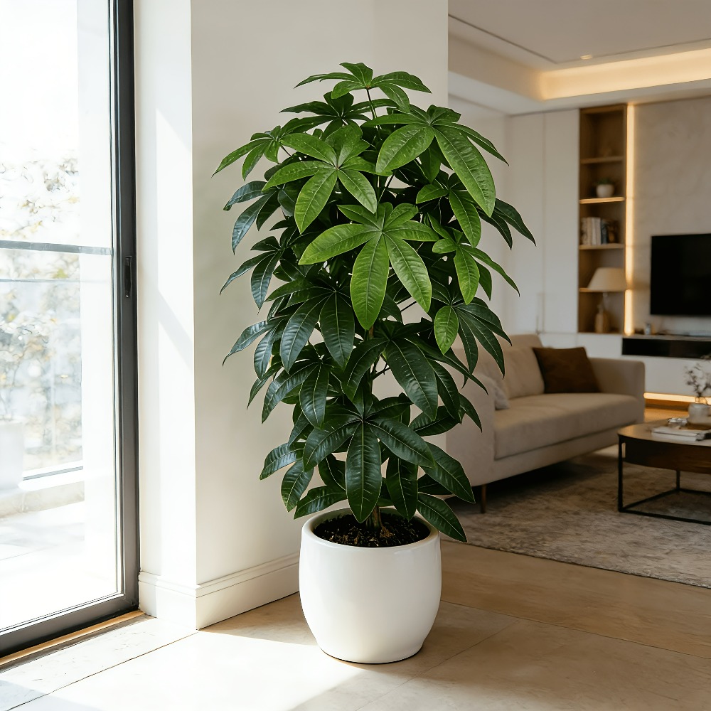 Árbol del Dinero Artificial Pa - Succulent Set reseña y precio